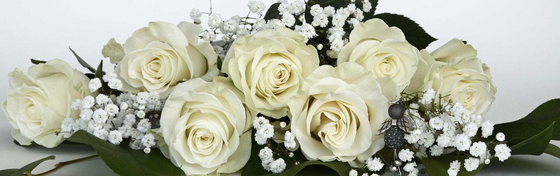 Home Macblooms Blantyre South Lanarkshire